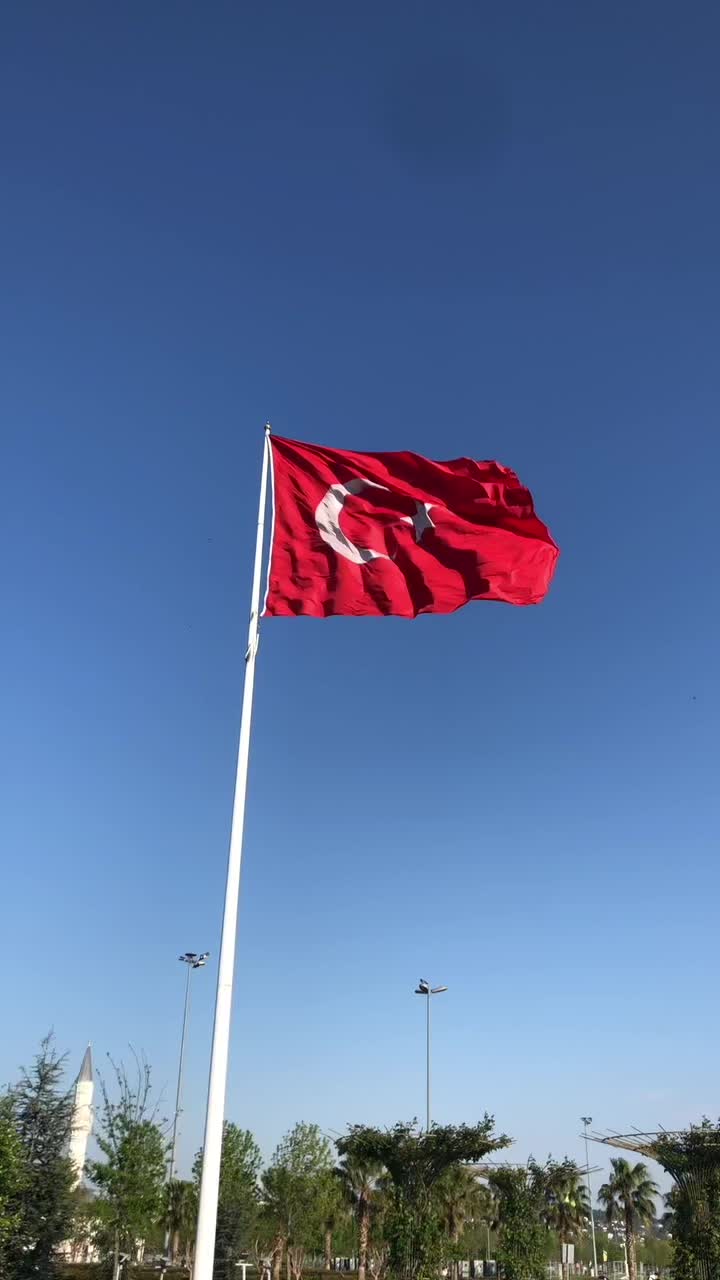 @travelerbedir