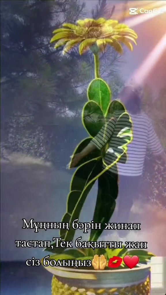 @Р.И.М