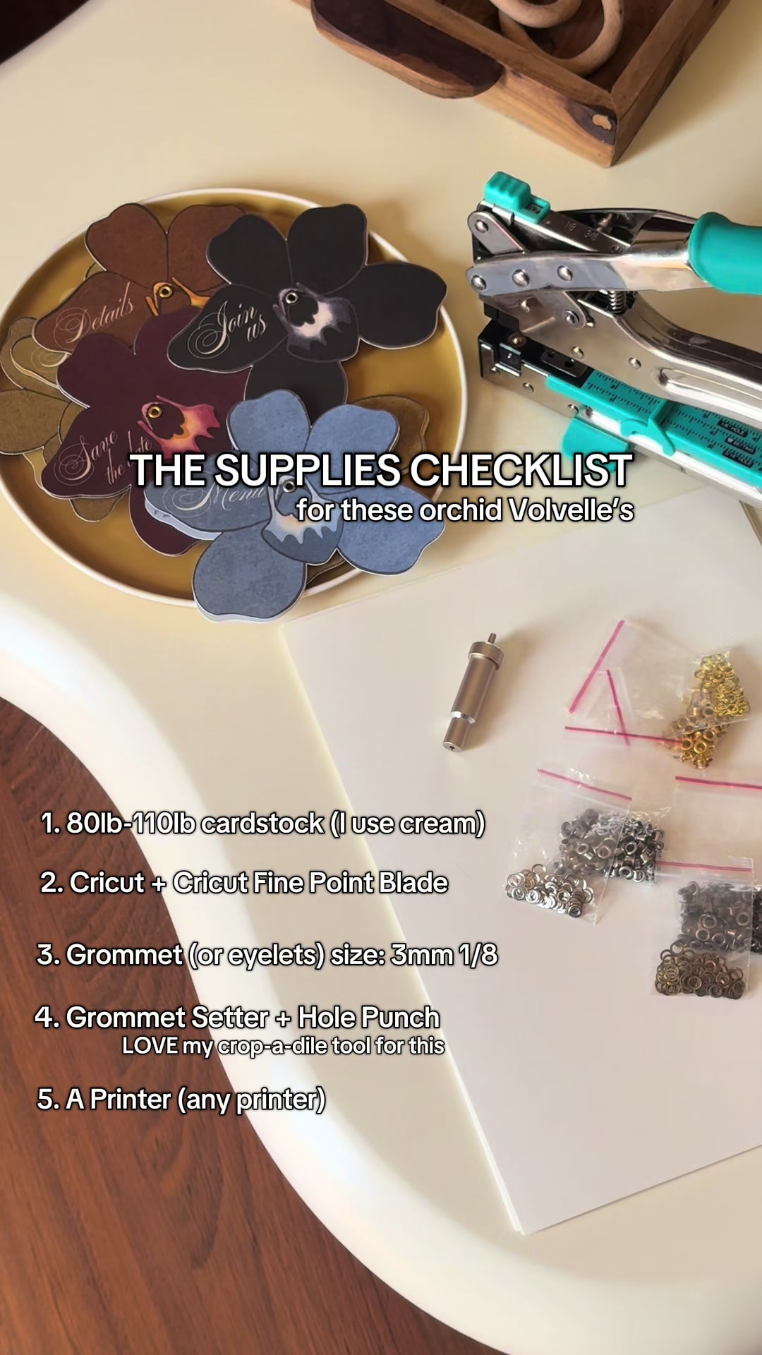 @jenna.knorman