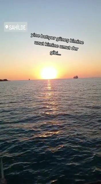 @mavi kelebek
