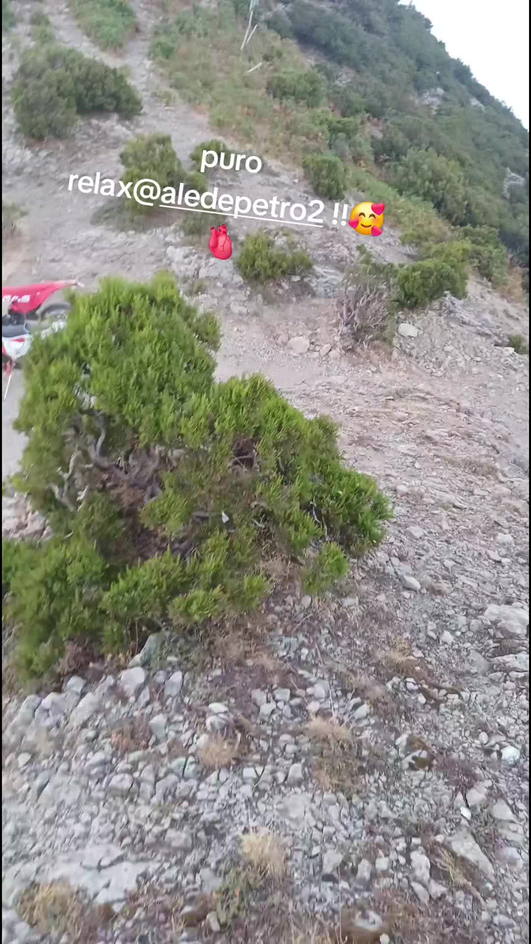 @Melo-Melino-Meluccio