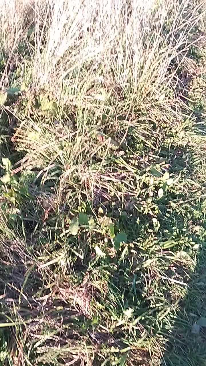 @11_Vlad_61