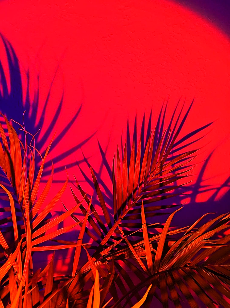 @N30N♡D011♡F4C3