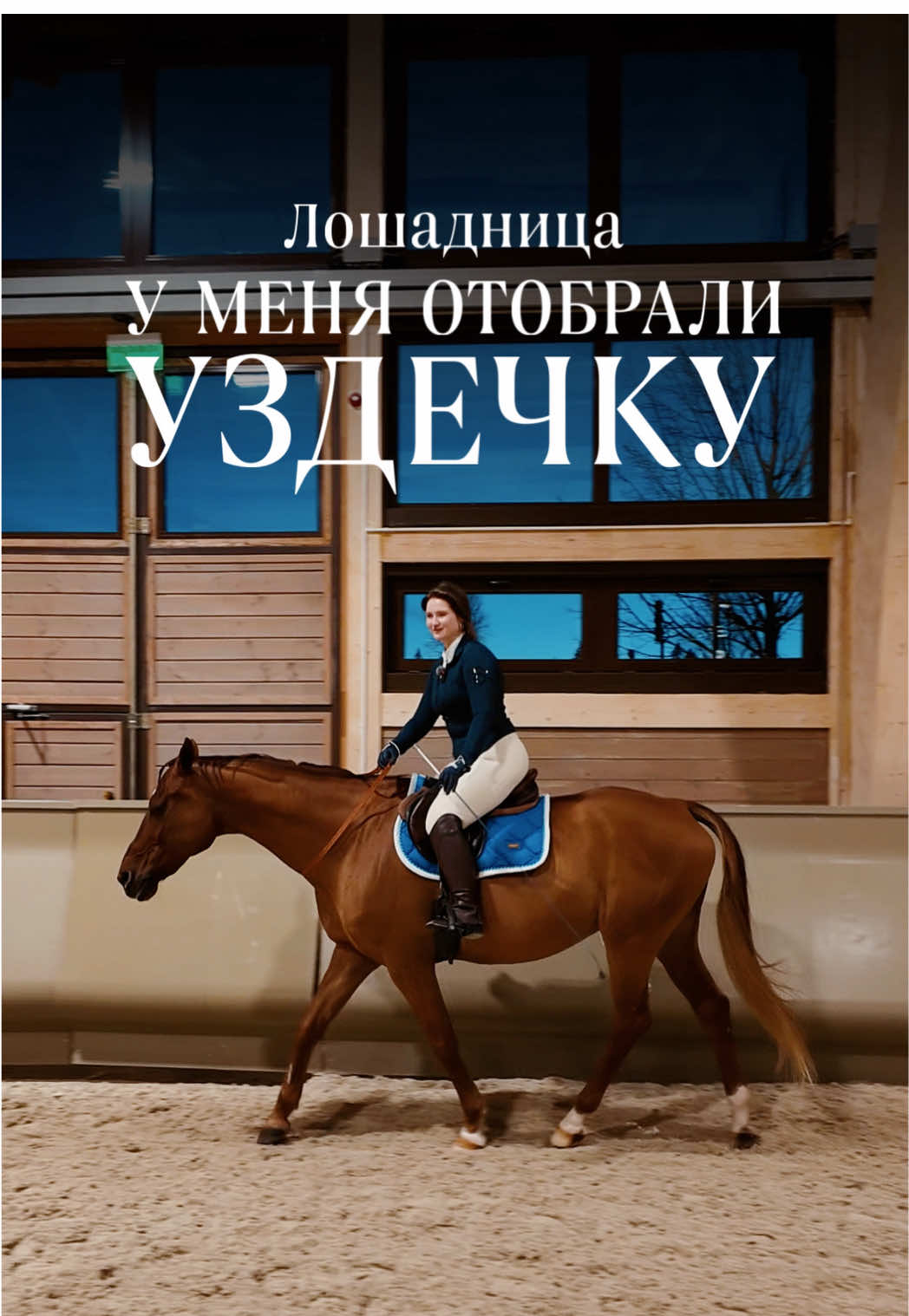 @Лошадница