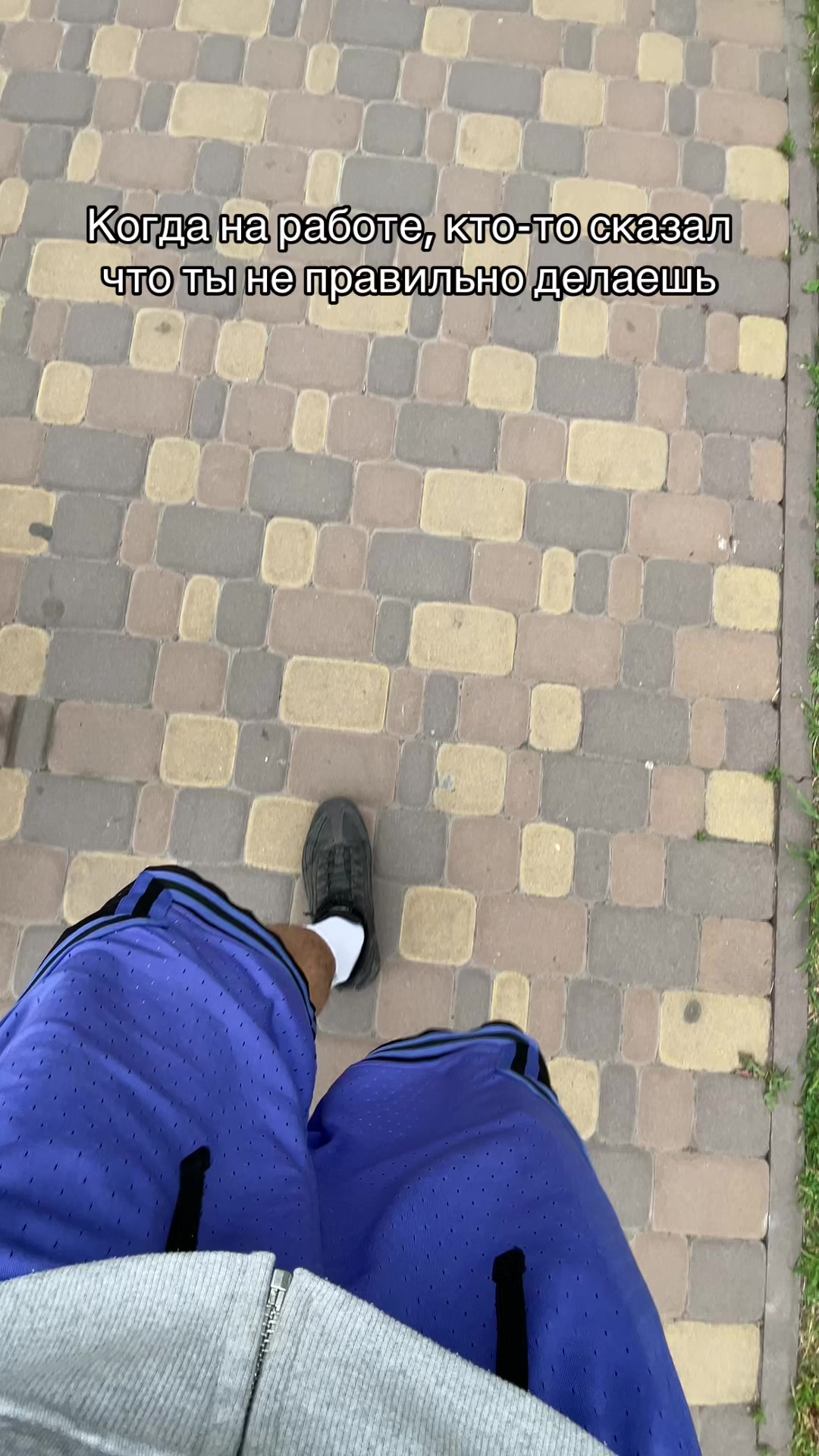 @Шеврончик