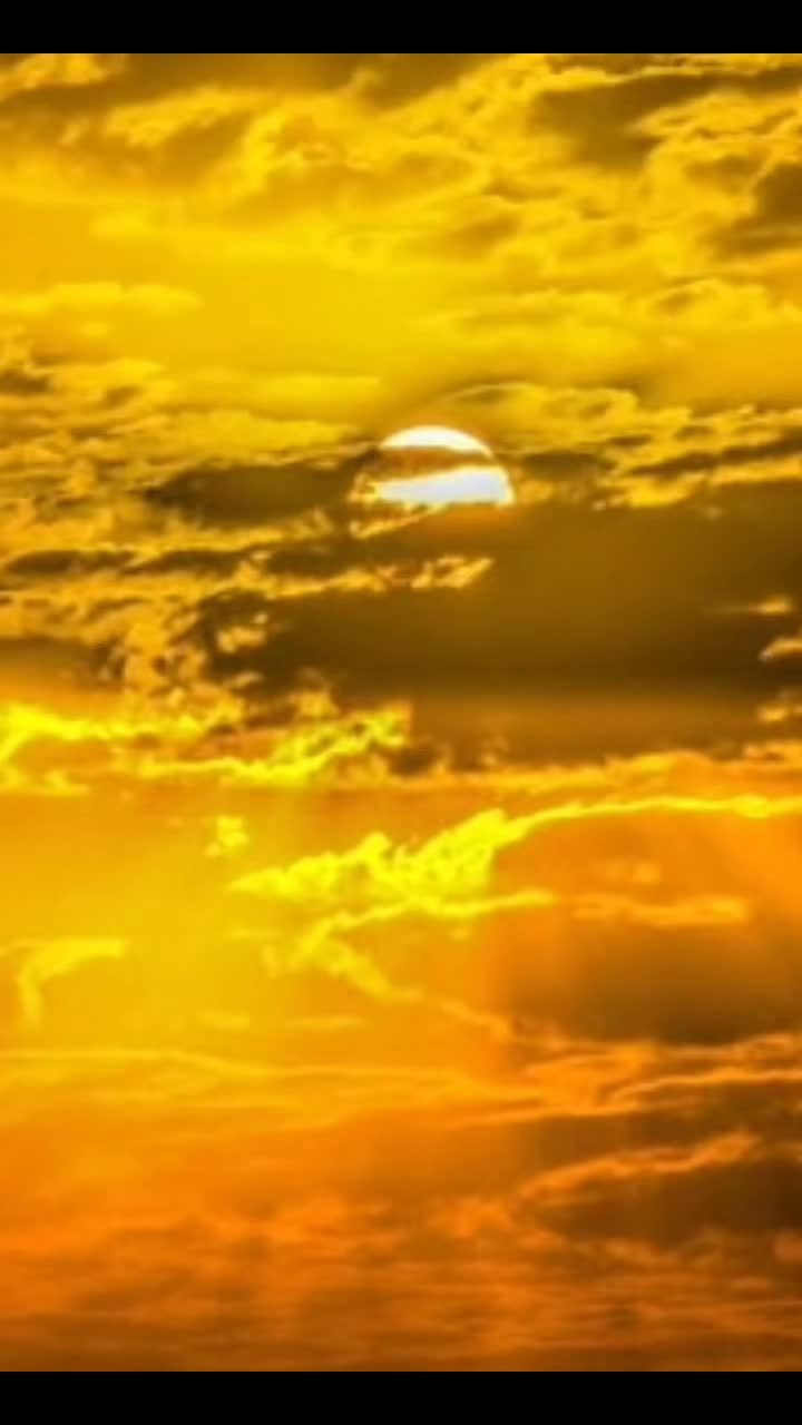 @보라색 나비⊙⊝⊜