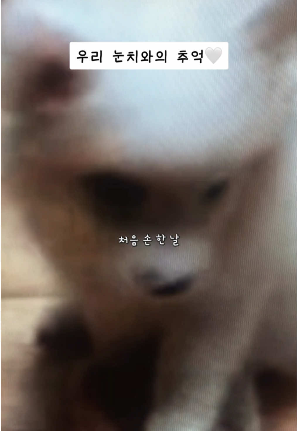 @열찌미