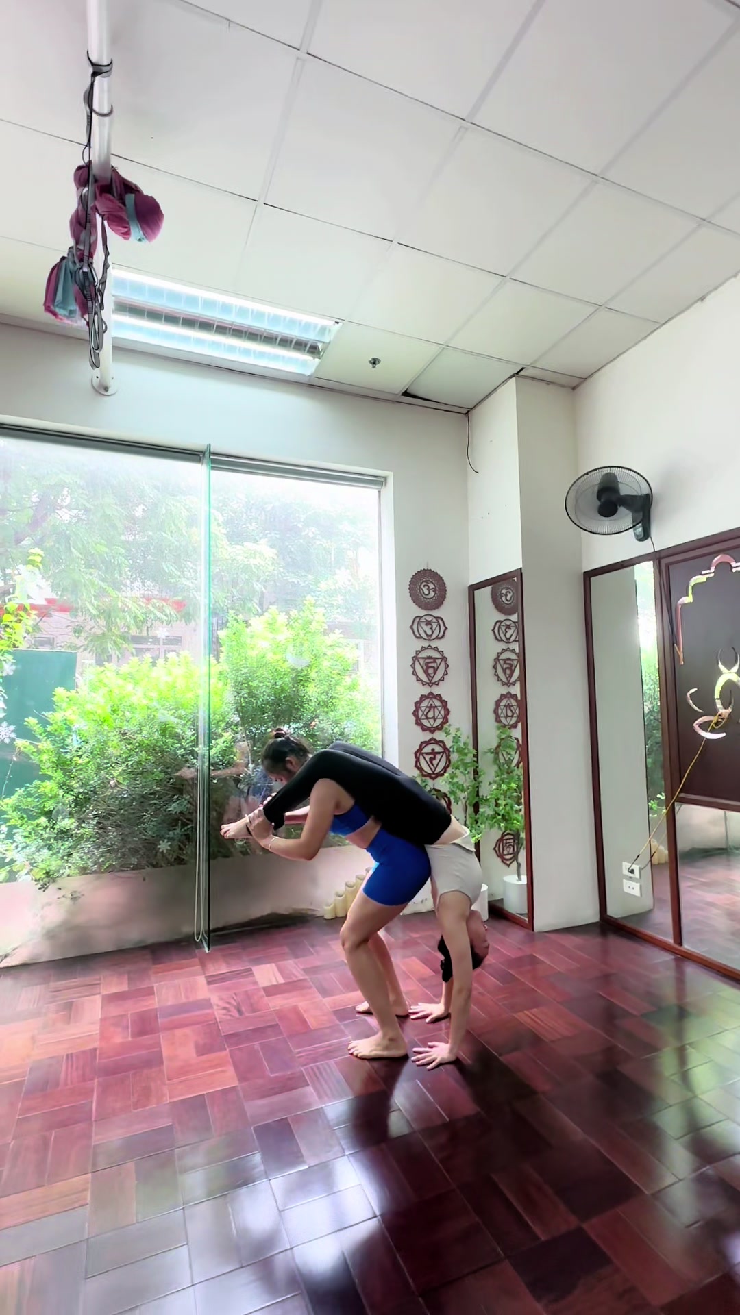 @💗 Hương Chí Phèo 💗