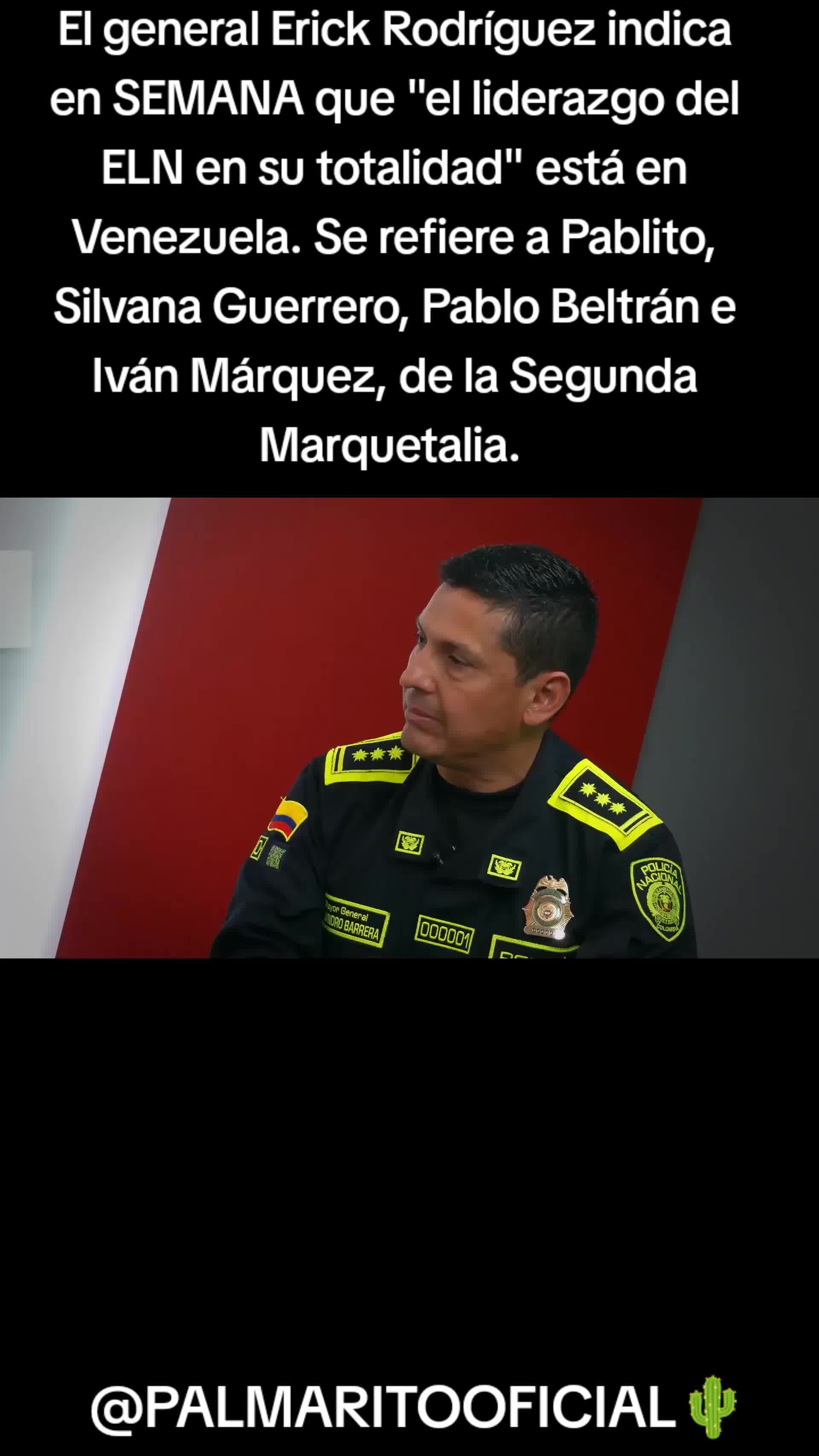 @PALMARITOOFICIAL 🌵