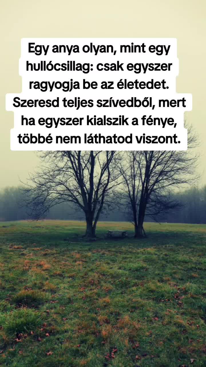@Oszi nem Veszi