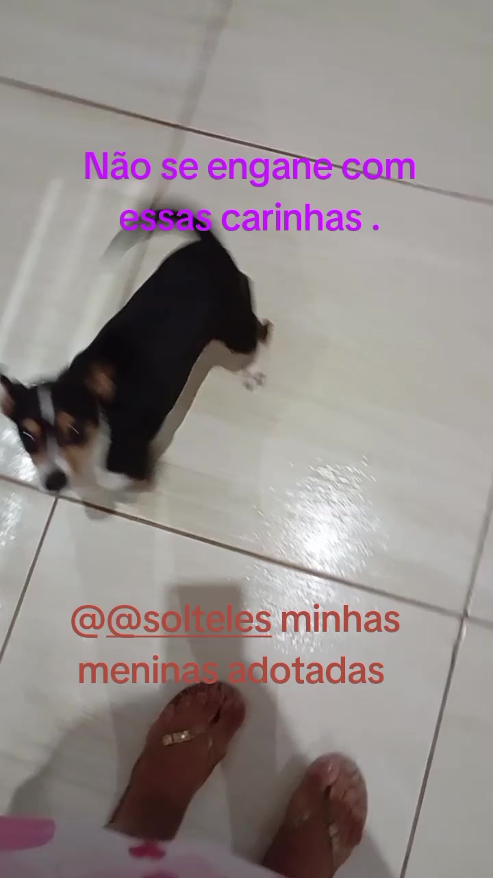 @@solteles