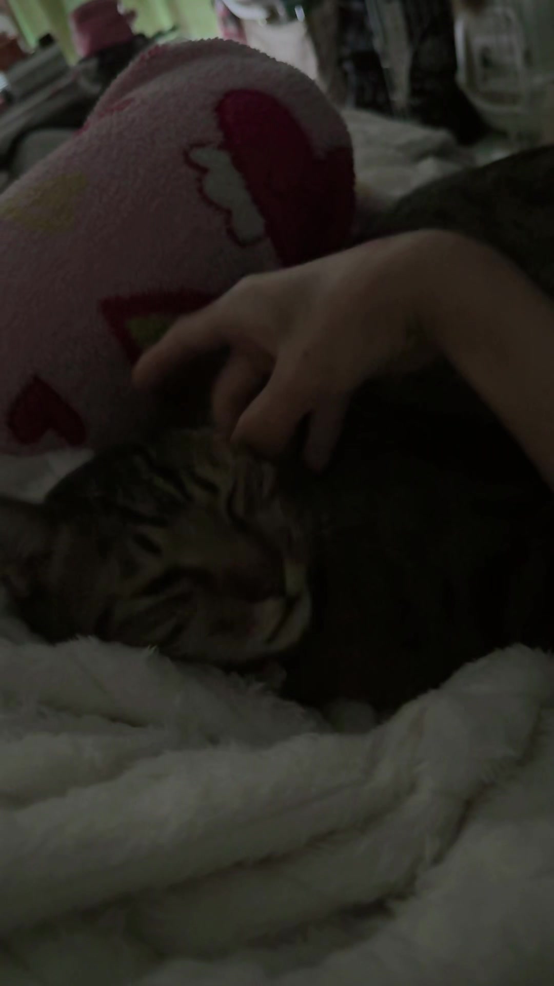 @🫧♡🐱유미(ユミ)🧛&zwj;♀️☆🌿