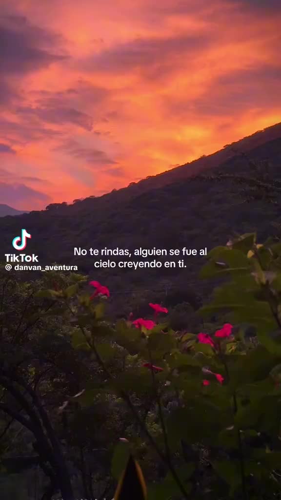 @Isela Mendez