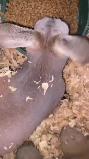 @BigMRanch