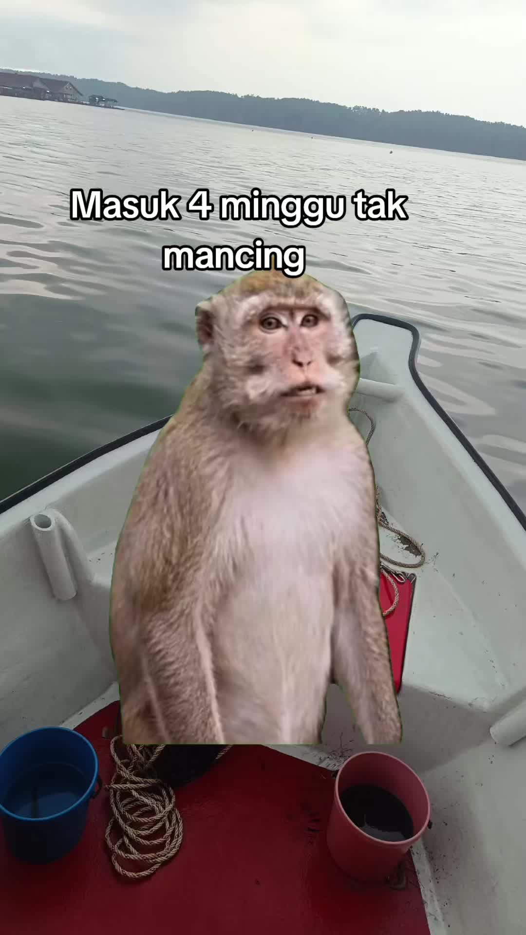 @Mr.Pojix