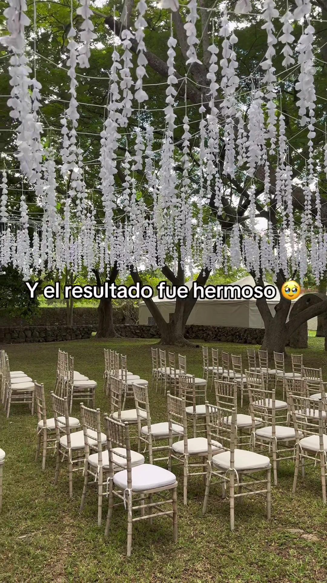 @Alo Novelo