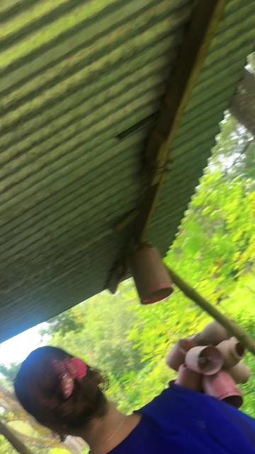 @đ°āĻĒā§āϰāĻŋā§āĻž āĻĒāĻžāĻāĻŋđ