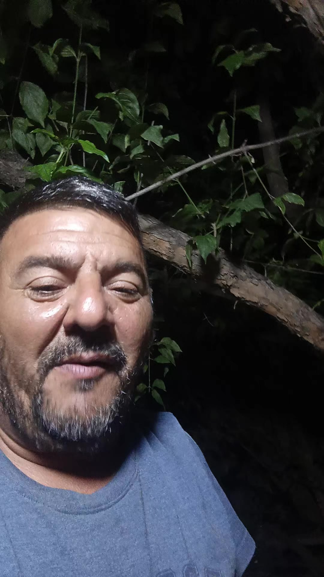@lüt_Eşqin