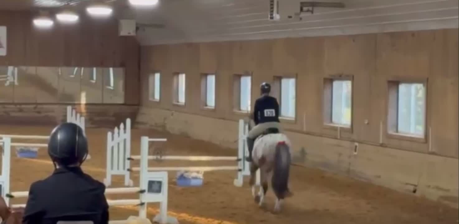 @Equestrian 🐴🐎