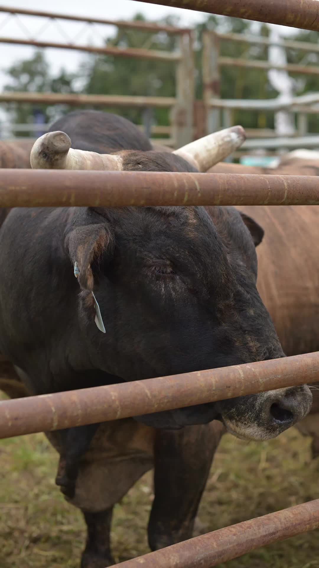 @Willow Hill and Co.