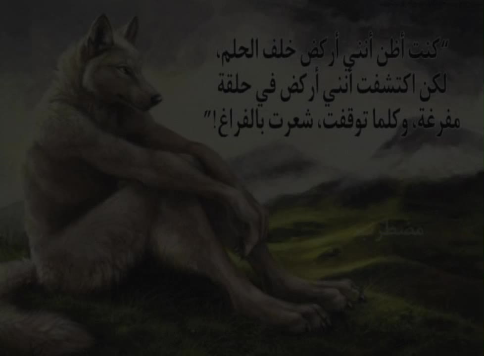 @user31213954716