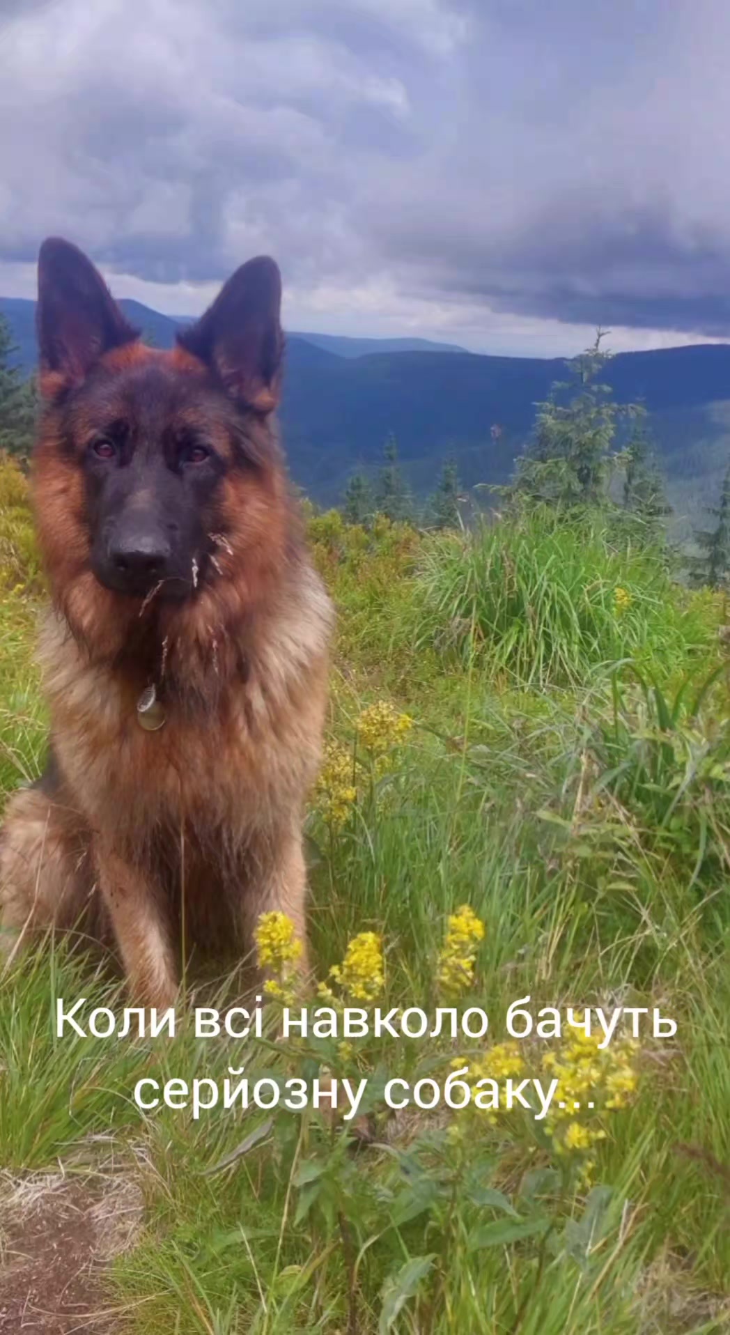 @МАТЬ ДРАКОНІВ🤣