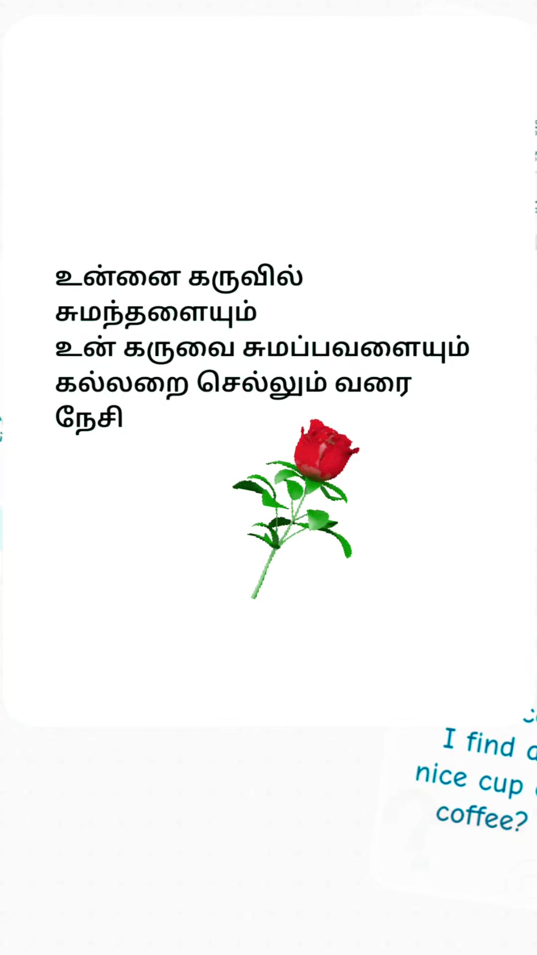@tini@&25#