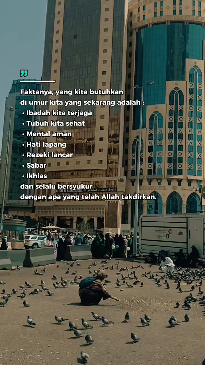 @nokulfah