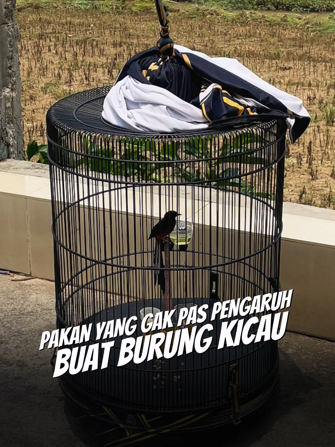 @Umi Kasum Store