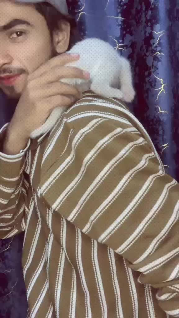 @SAFI 🥷🔥⚔️