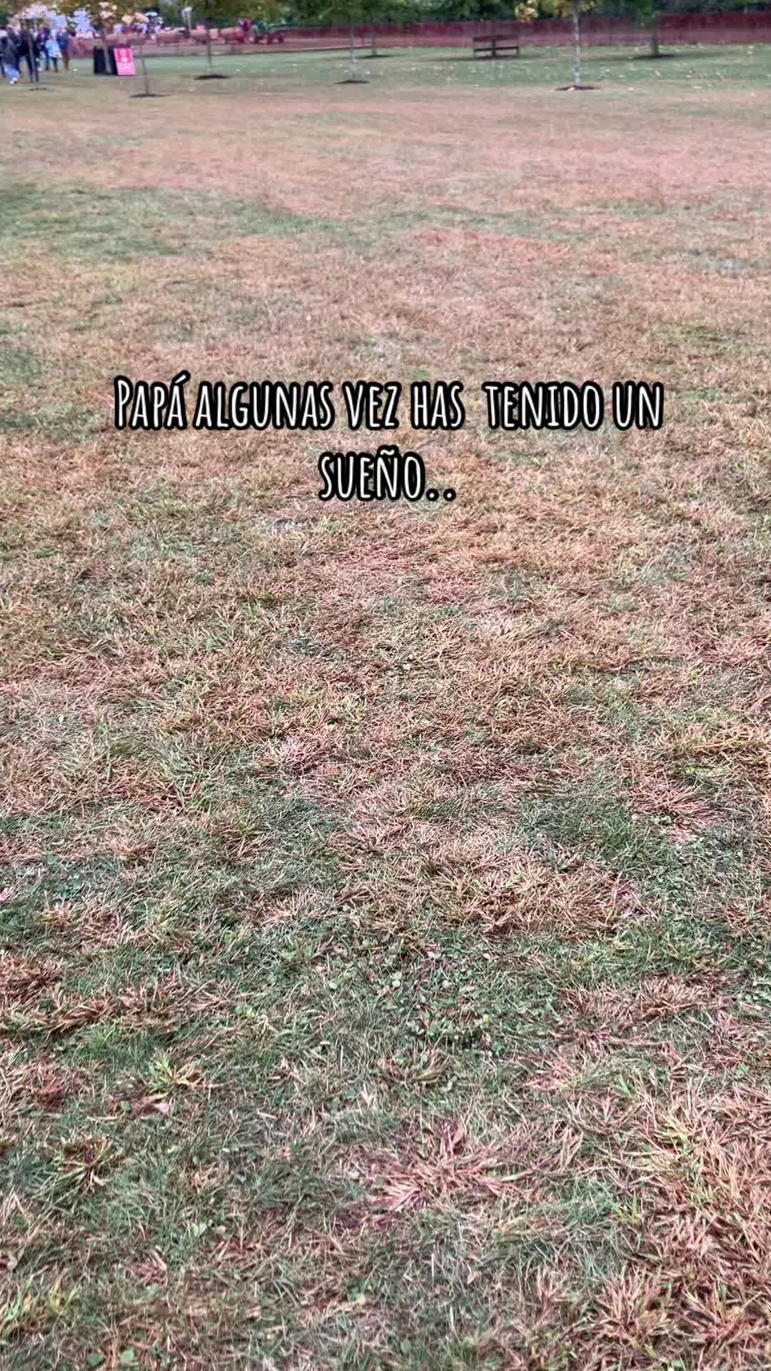 @OCHOA 😏
