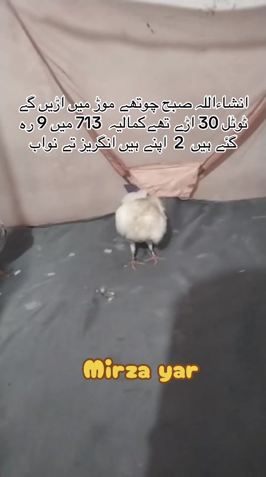 @Mirza Yar Mirza Yar