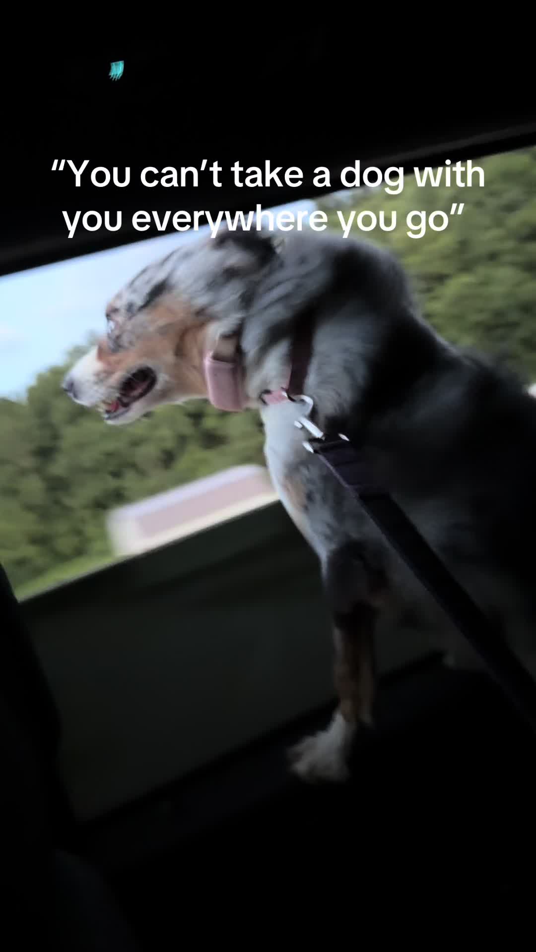 @mouthymountainwoman