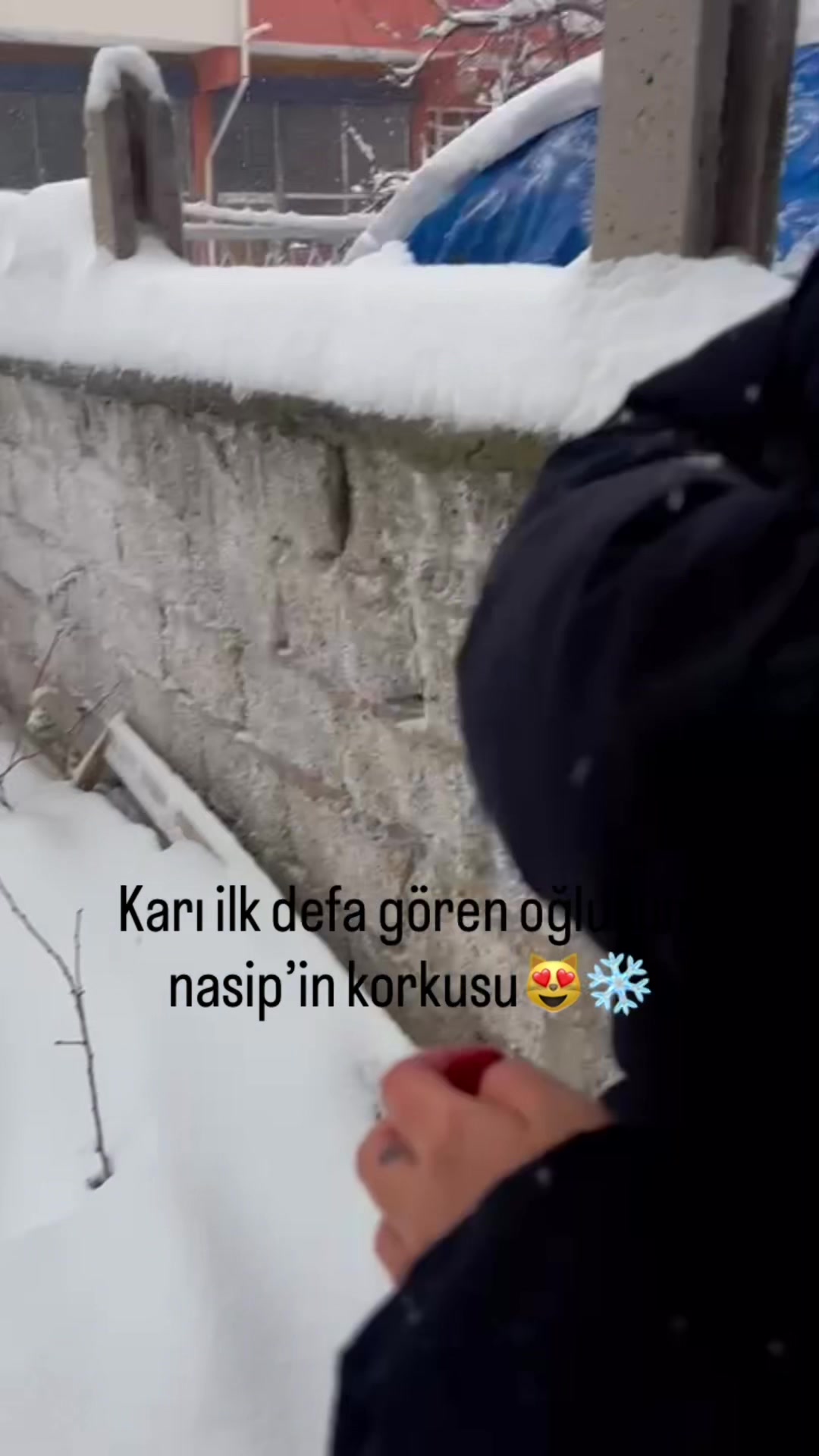 @Nazlıcan Topal