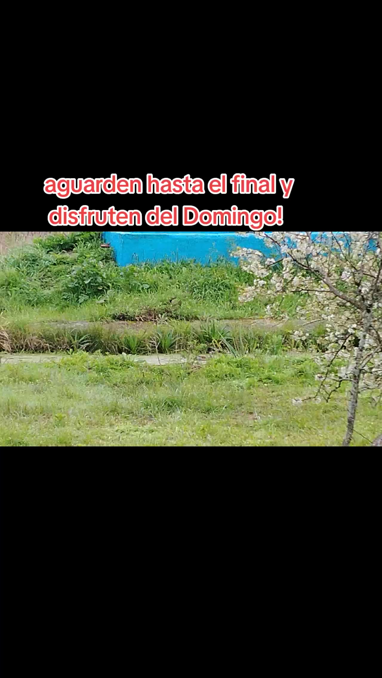 @MARIANOF_AL_NATURAL