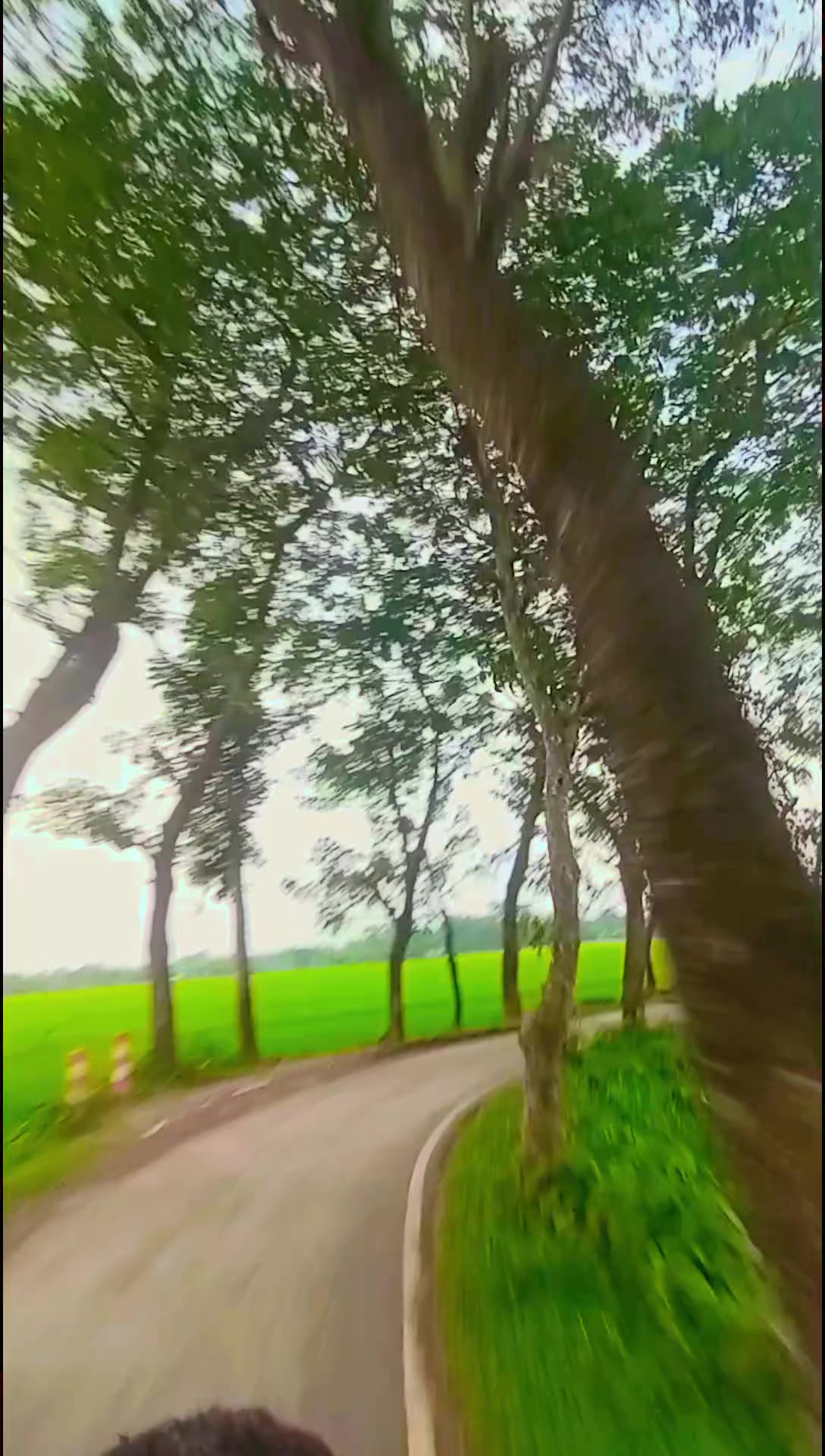 @꧁ᴾคᴿꪜᴇZ꧂