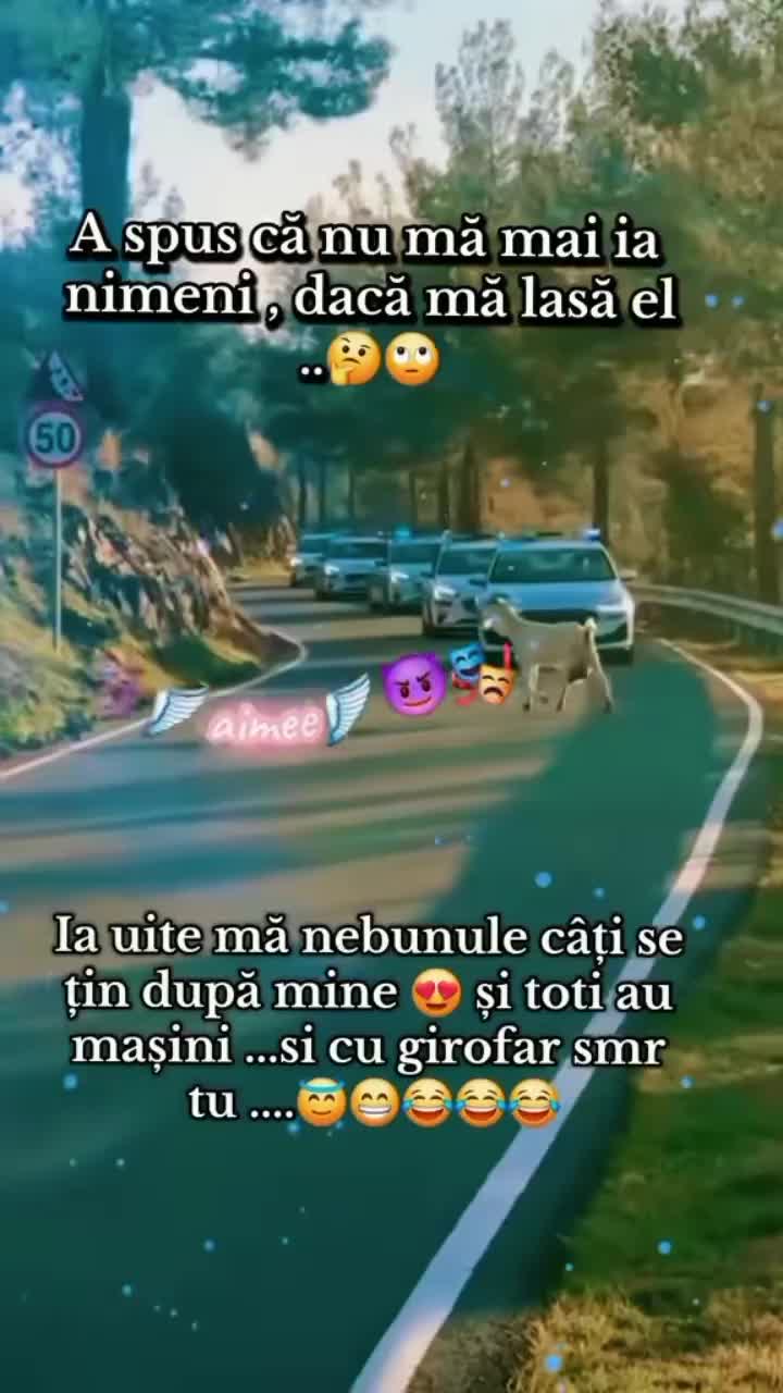 @Diaconu Ileana