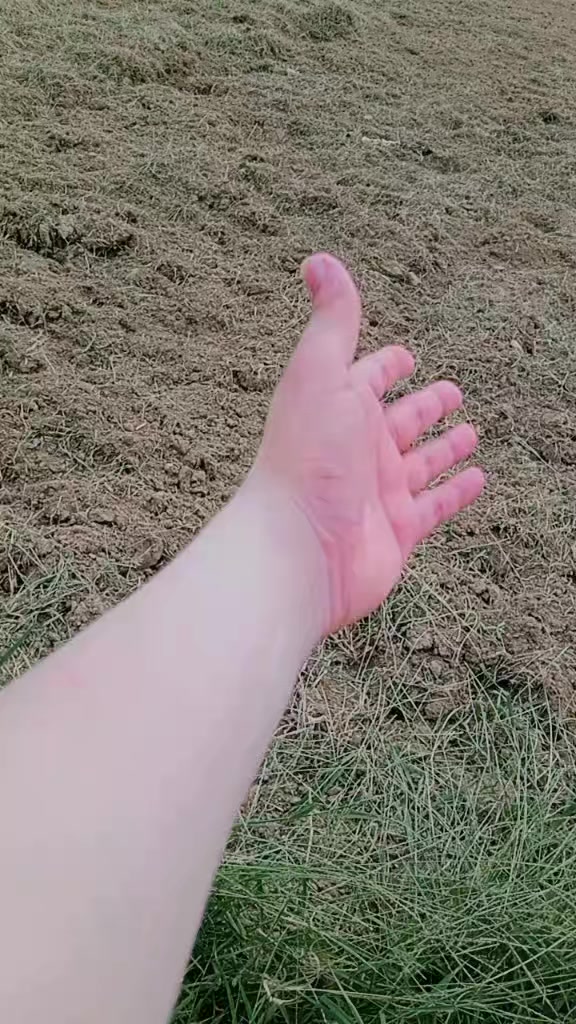 @Zaین Hassan445