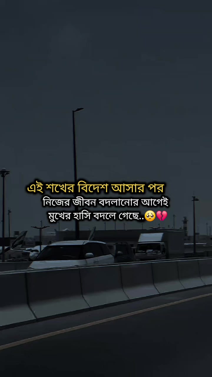 @★★প্রবাস জীবন >✈🖋️