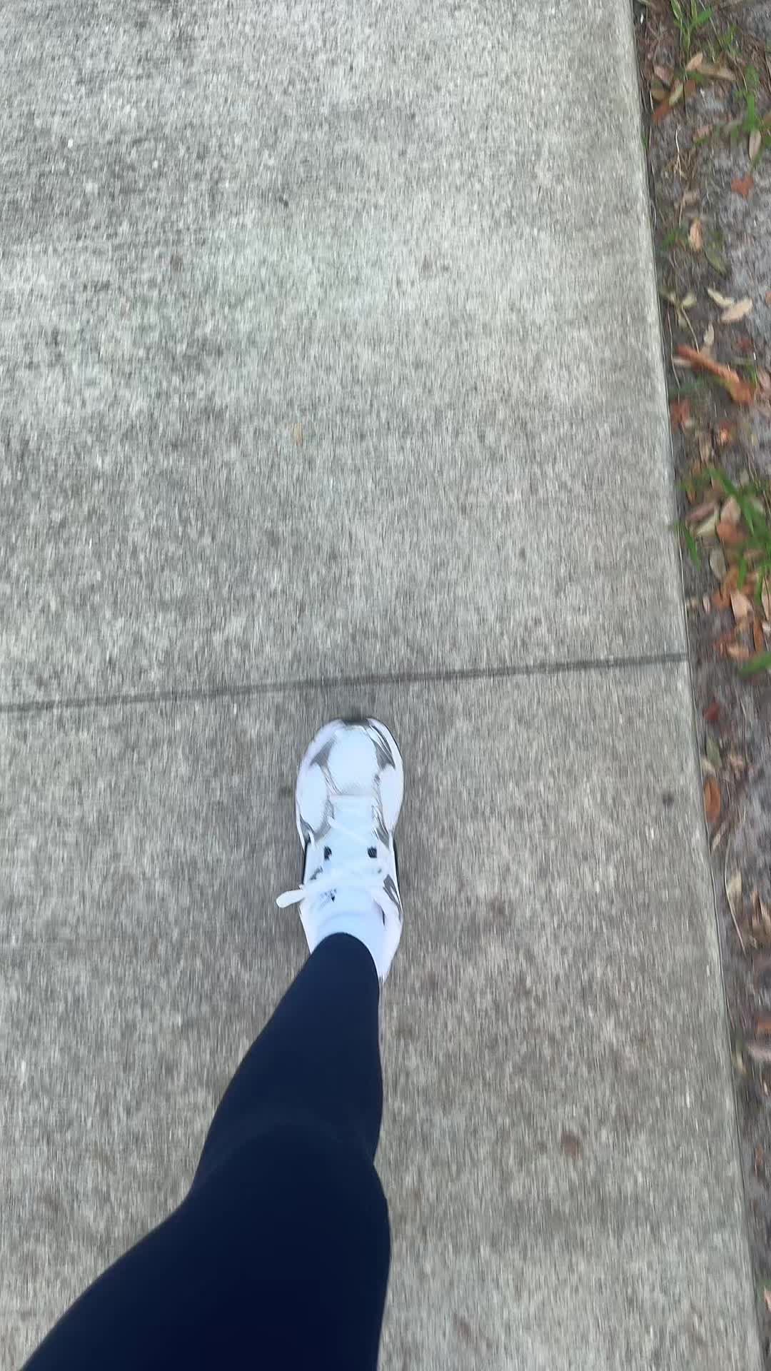 @brookedicampli