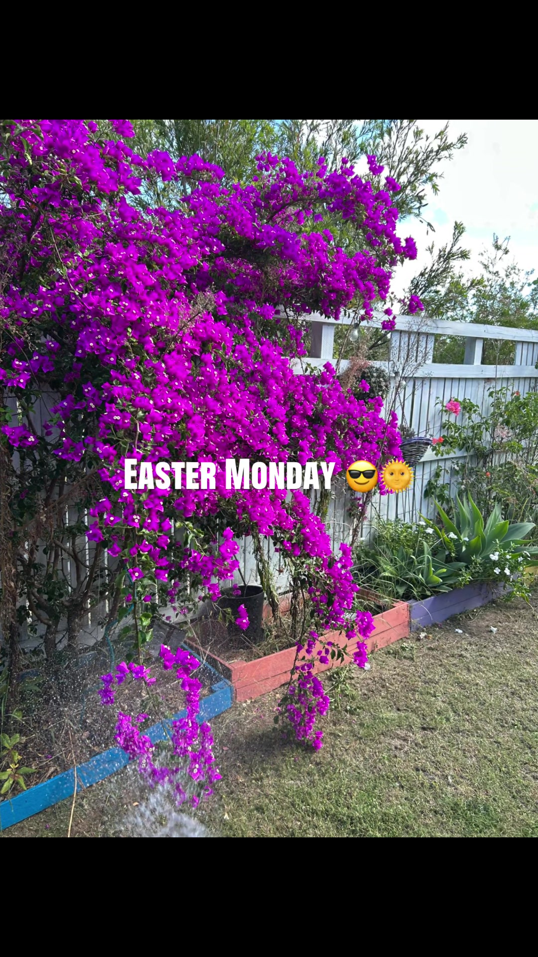@LiaAnae🇼🇸🇦🇺