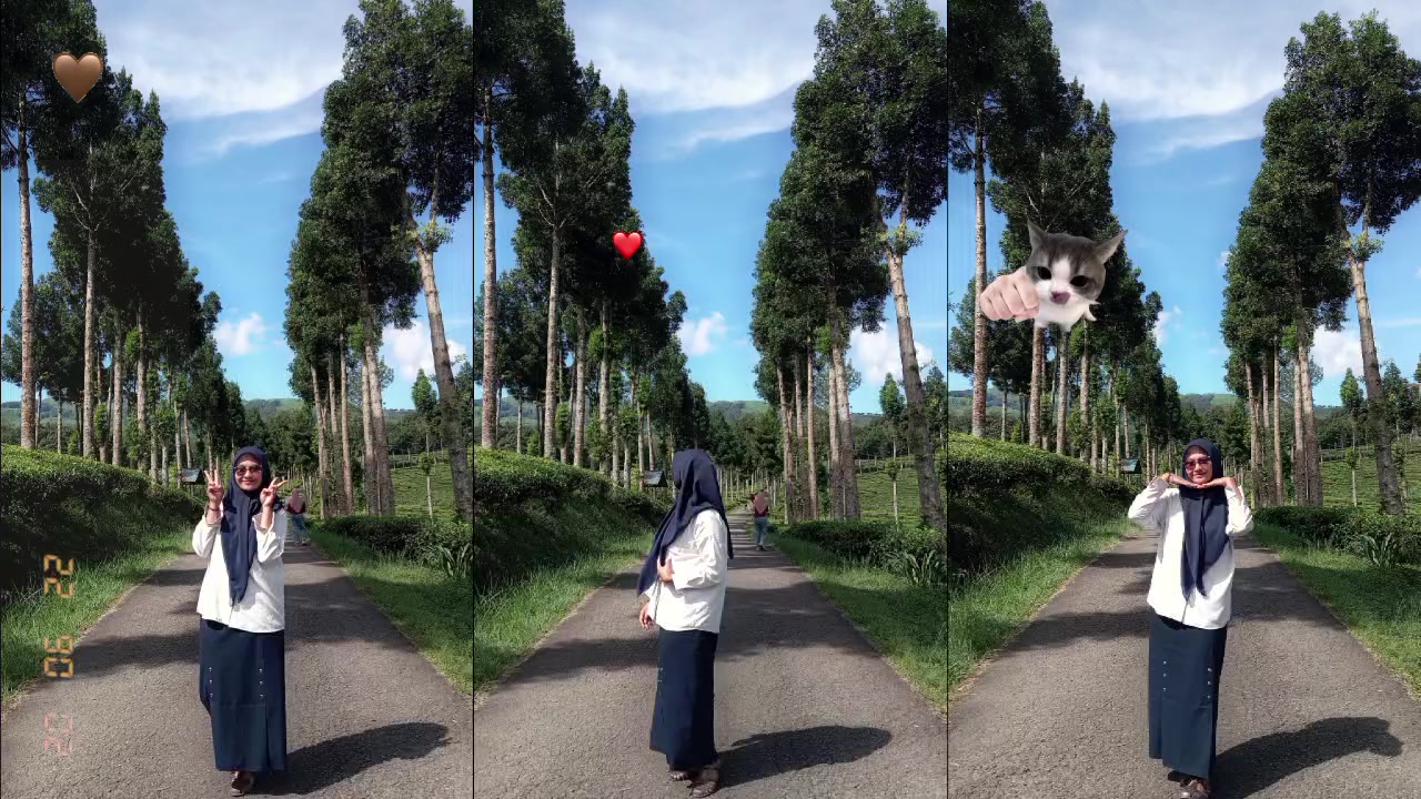 @Rpni