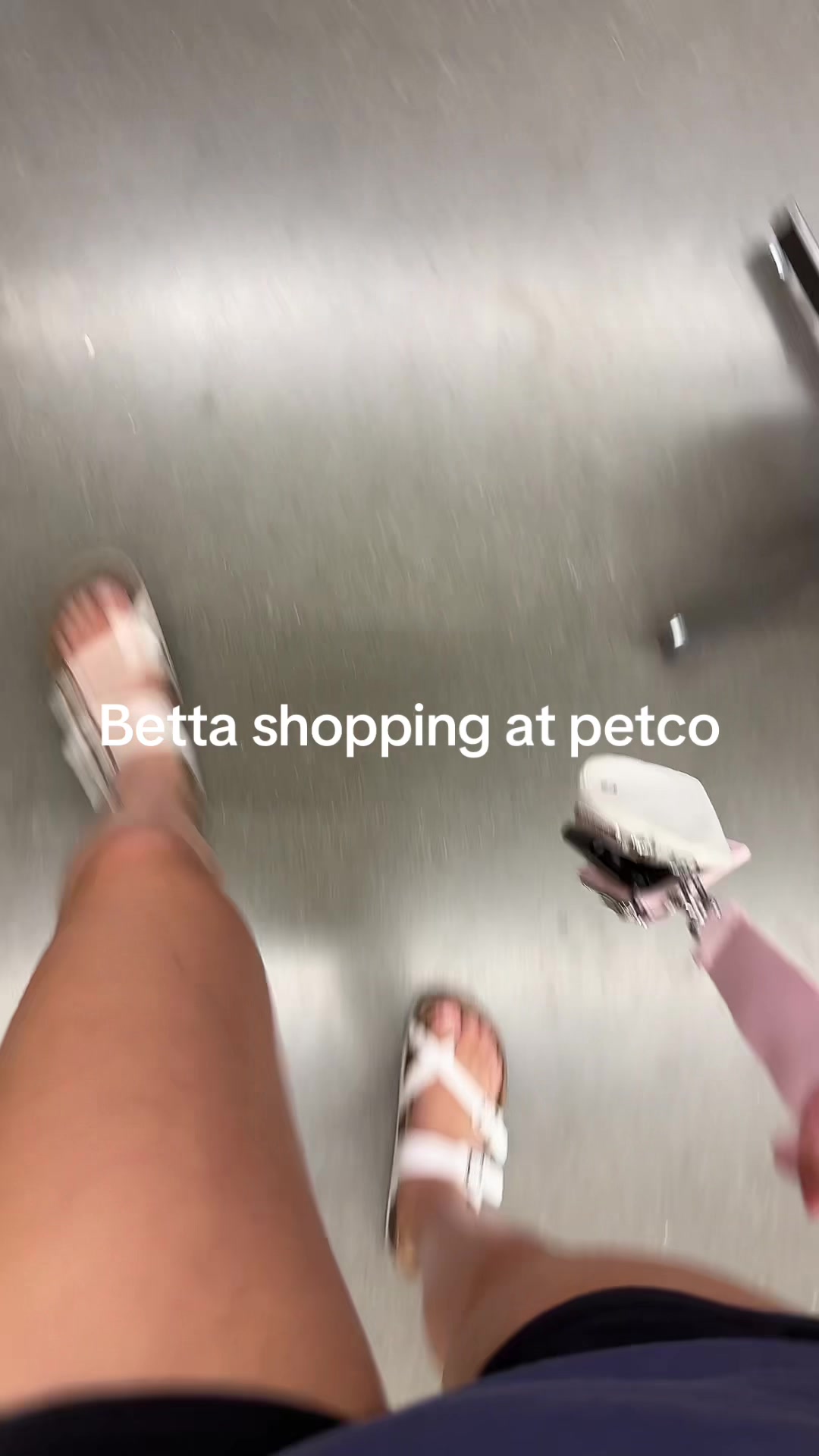@Gidget/WagWild