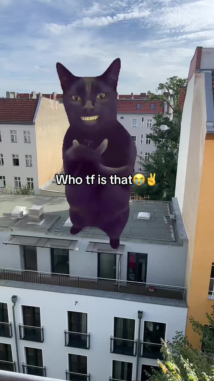 @ACADEMYEDITZ