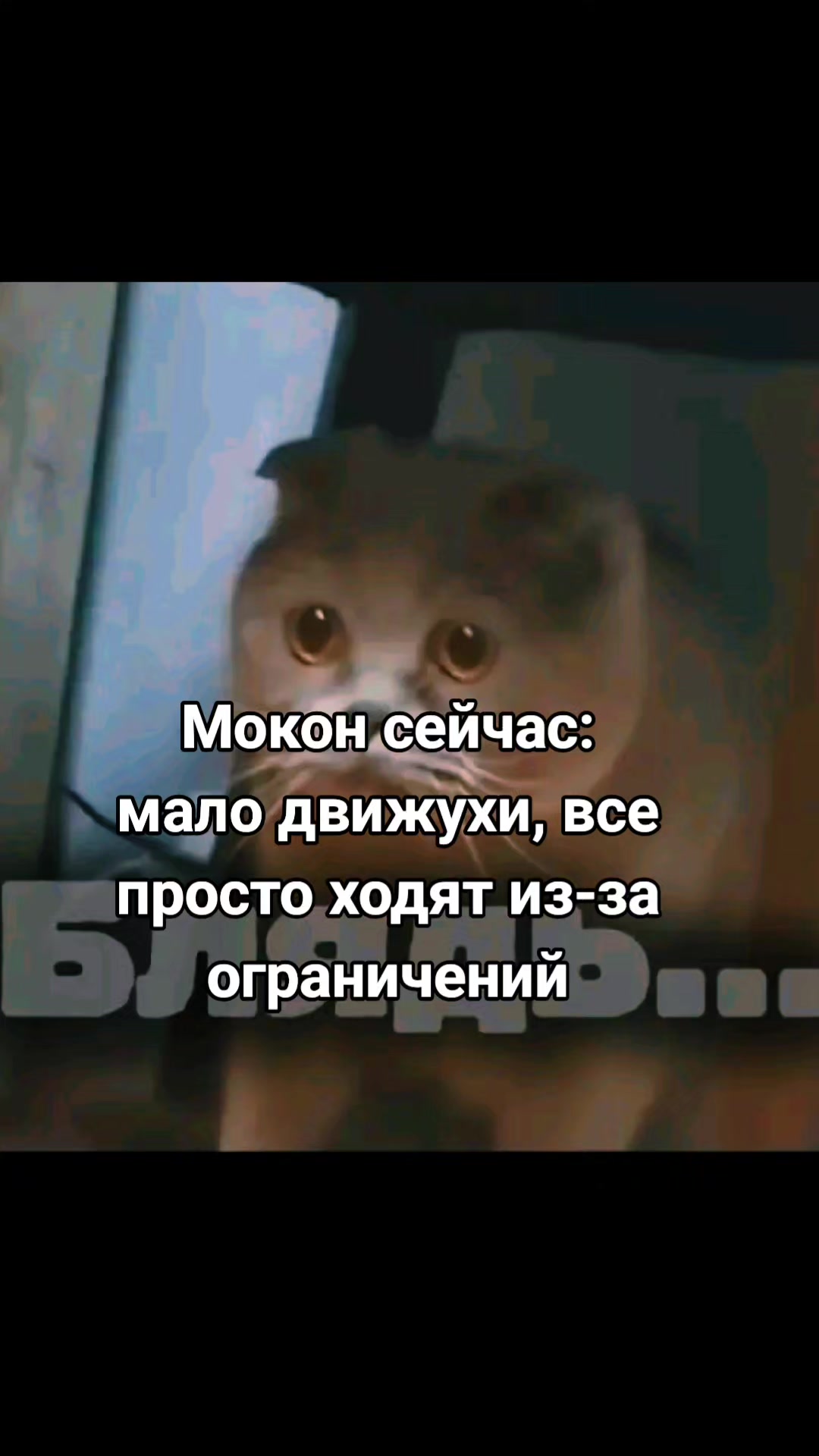 @✿♈ 𝓛𝓲𝓼𝓪'𝓼 𝓣𝓮𝓪 ♈✿