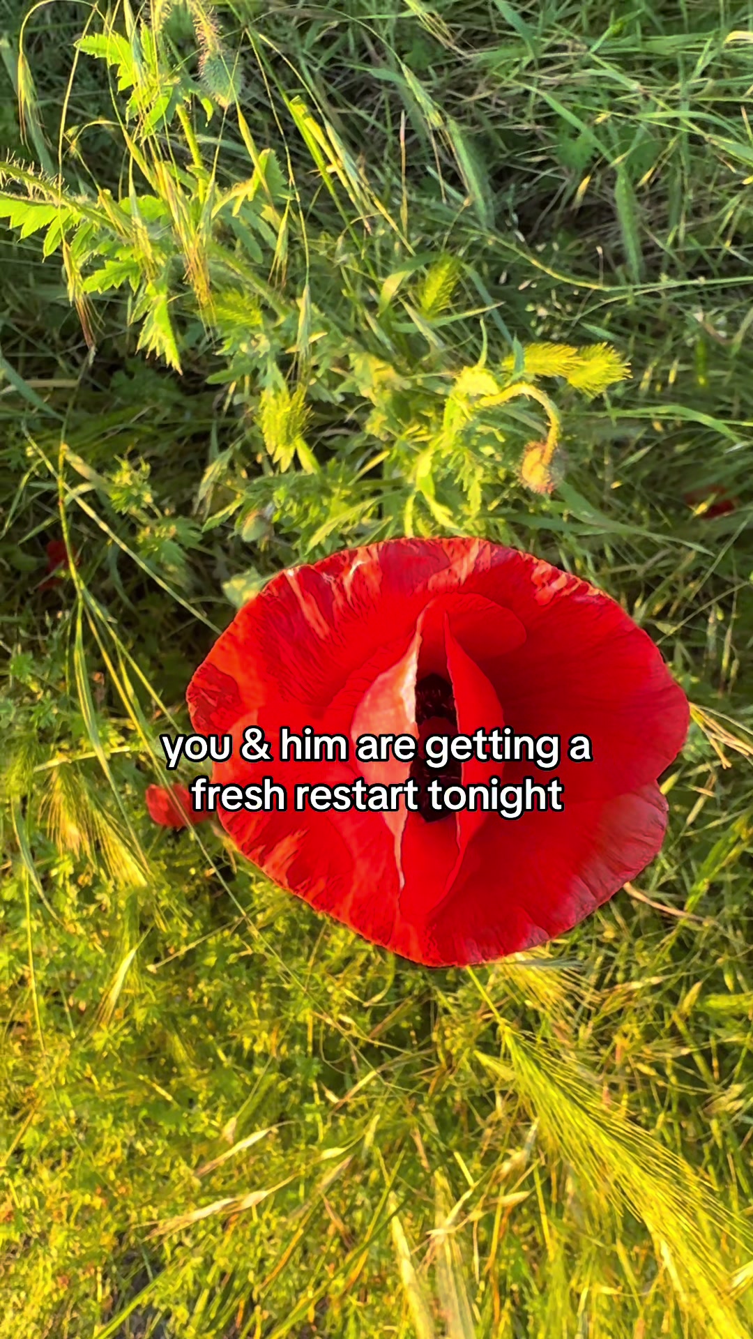 @deadrandy