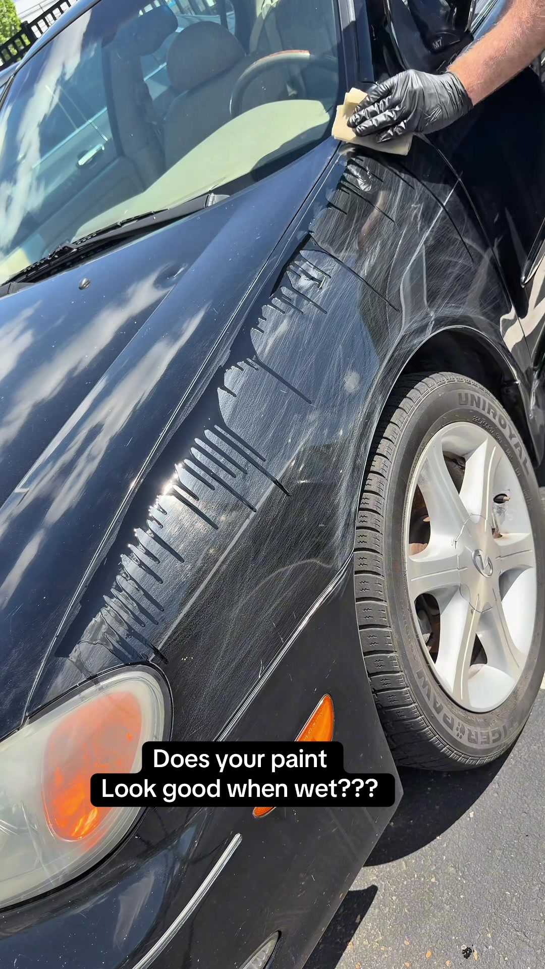 @Shiny Car Stuff