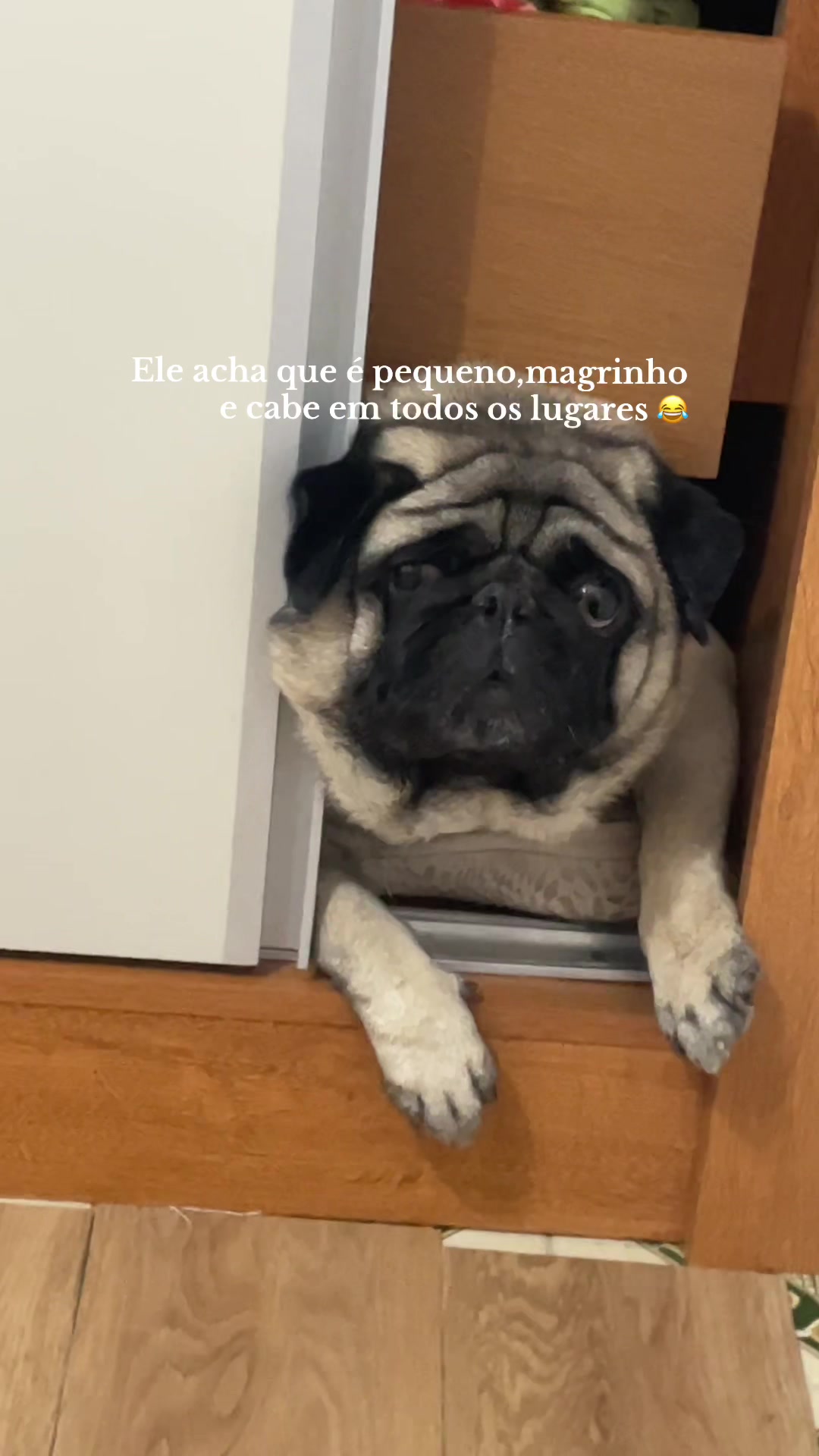 @Isabel Almeida
