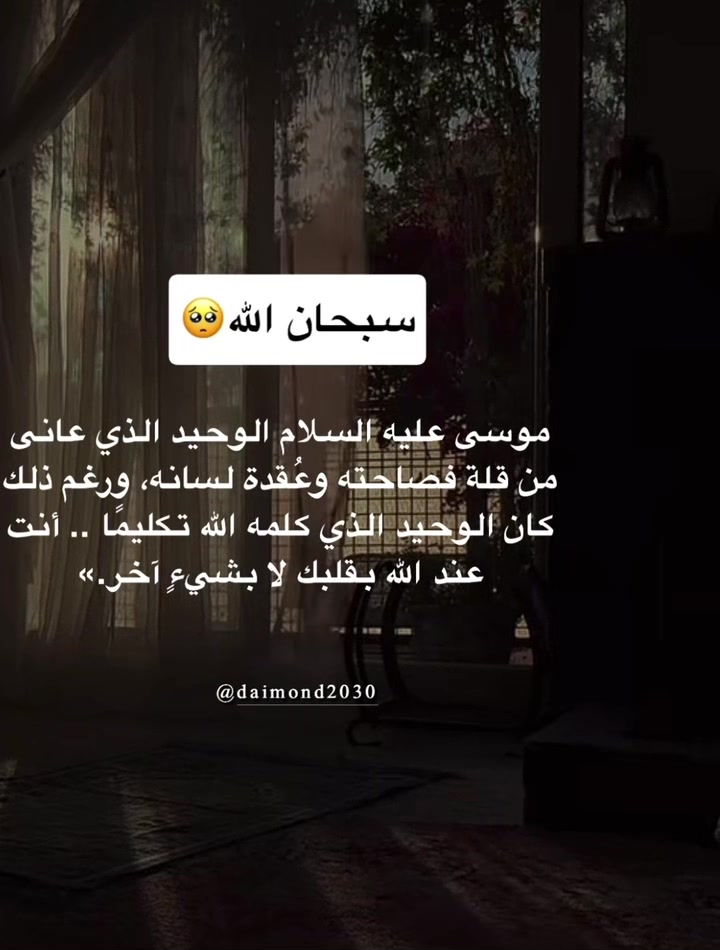 @سارة القرشي