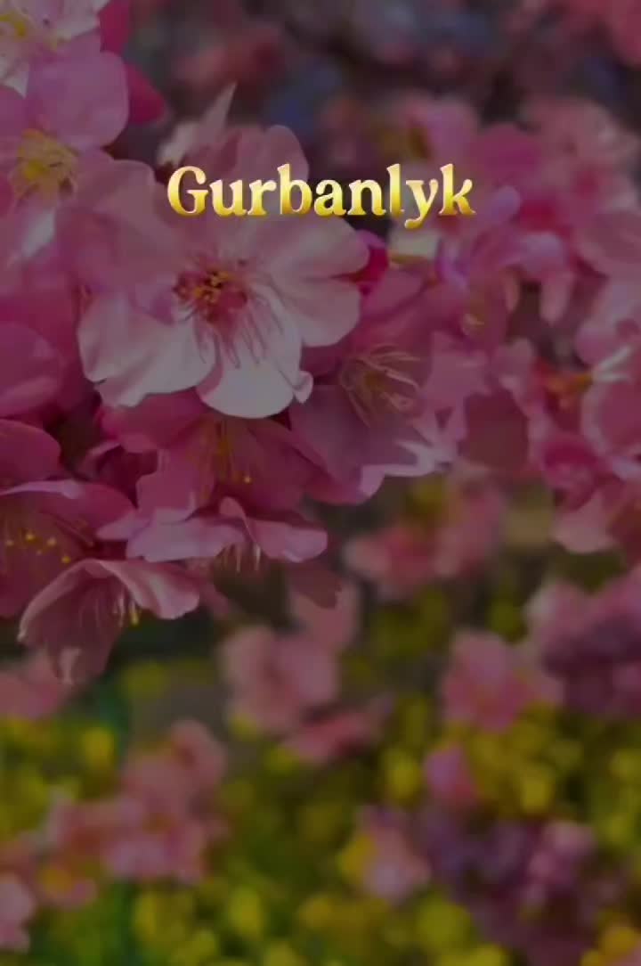 @seÿroş.07.🗼